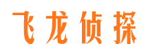 隆化市调查公司